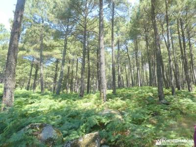 Garganta de la Cereceda - Piscinas de Piedralaves; sierra de madrid senderismo viajes abril rutas po
